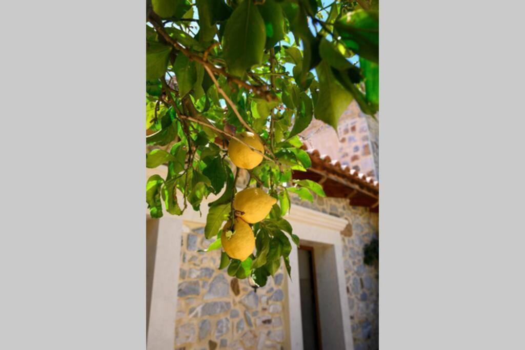 Marigoula House Vila Pombia Exterior foto